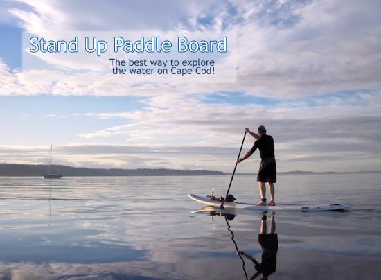 Stand Up Paddle Board (SUP) rental Cape Cod